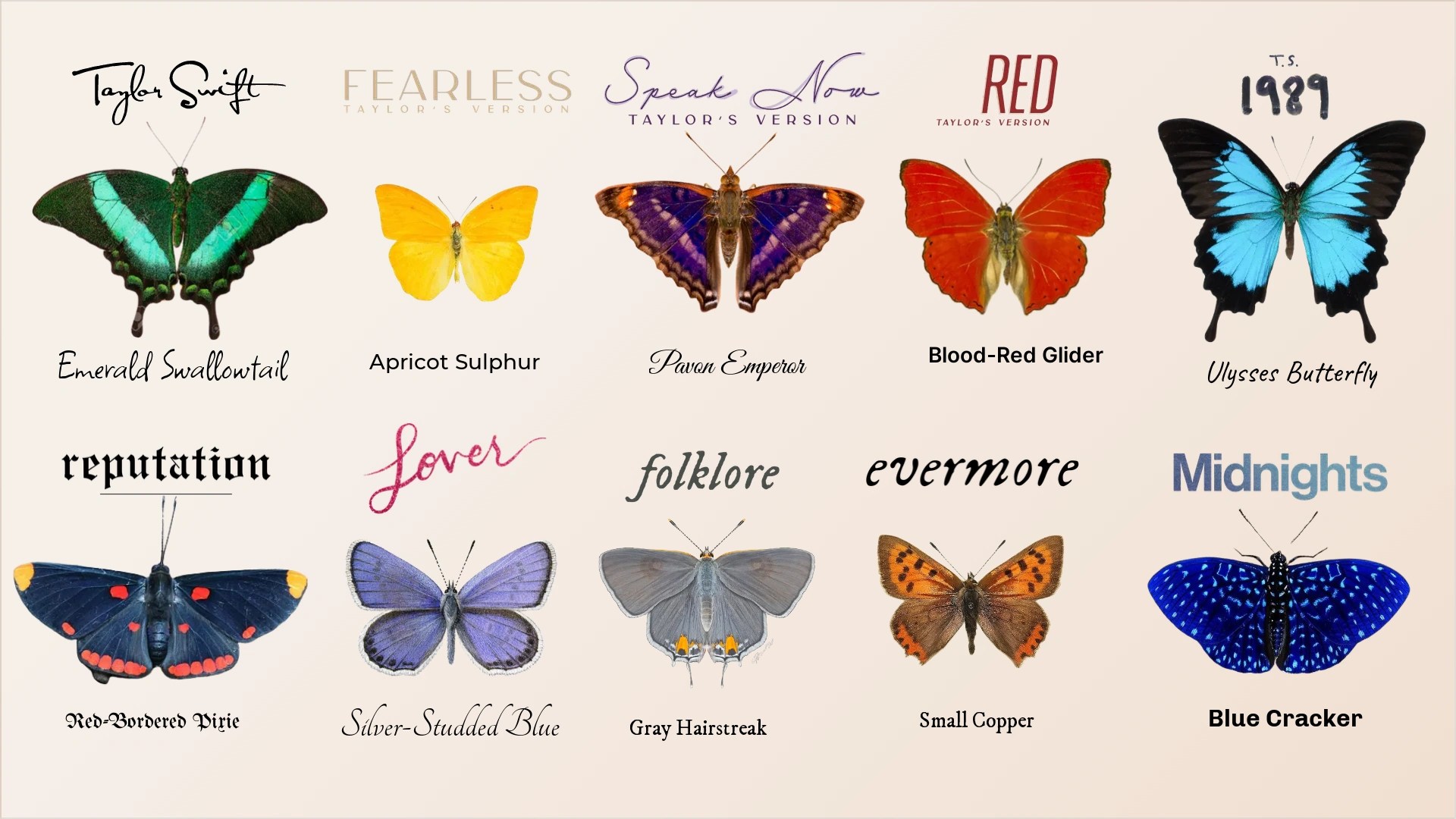 Landing Taylor Swift Album butterflies