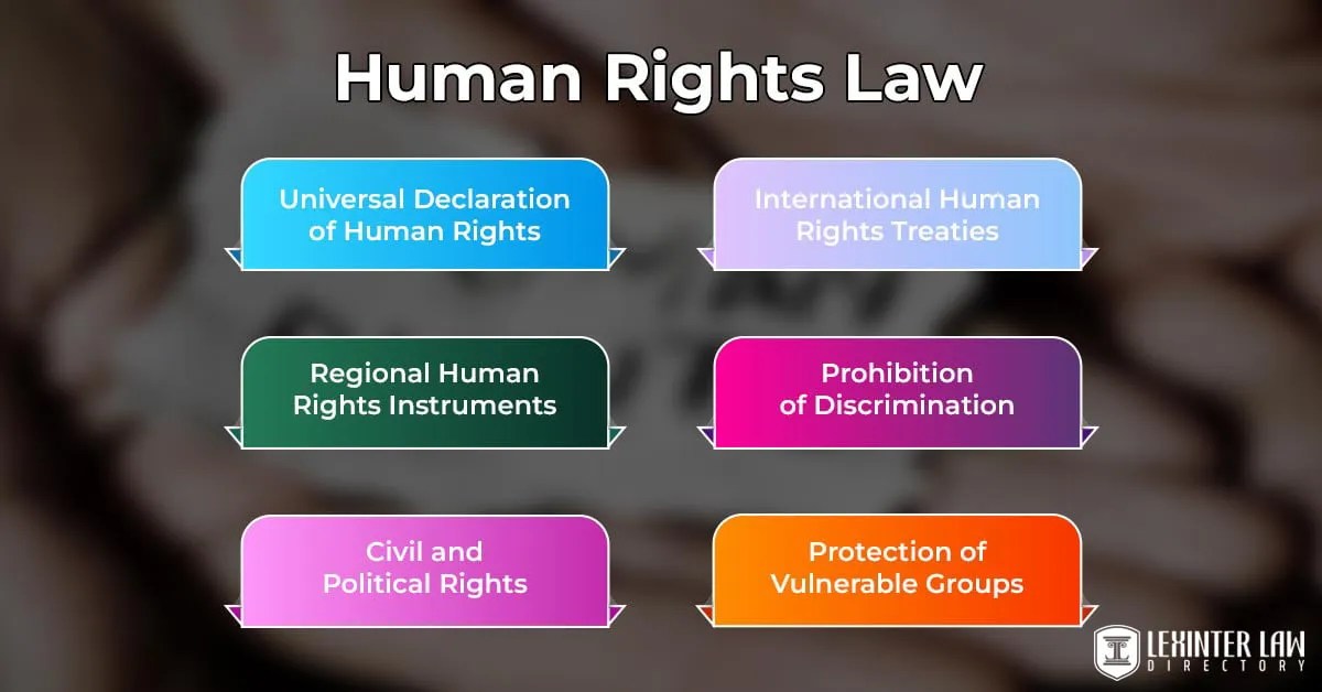 Types Of Law Fields Of Legal Expertise And Attorneyship Lexinter