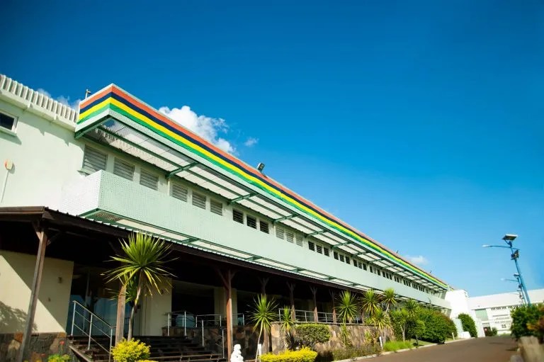 RT Knits Ltd Our Story