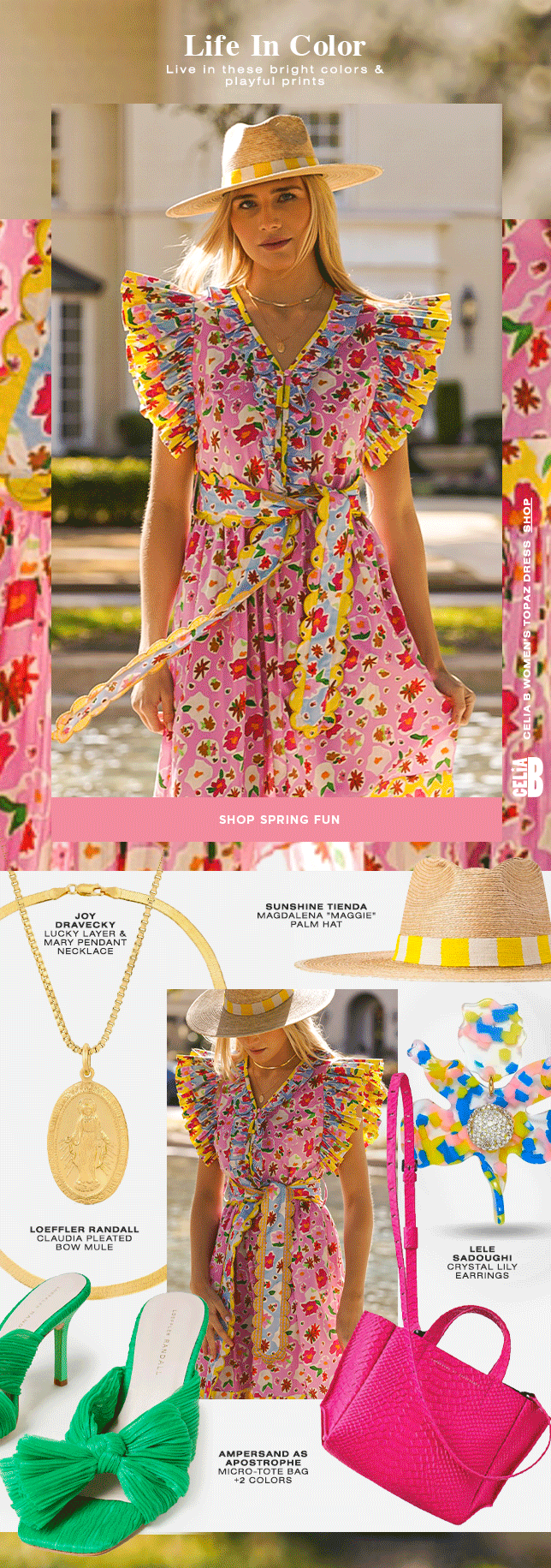 Life In Color With Celia B Saint Bernard