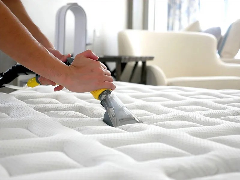 5 ways to reduce the impact of Dust Mites