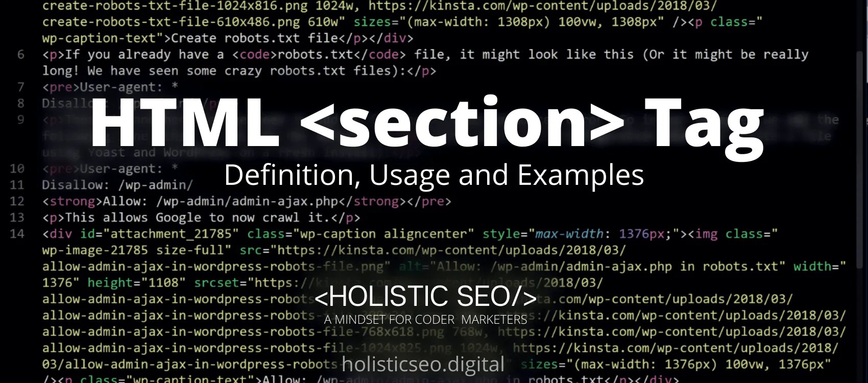 HTML Tag Definition, Usage and Examples Holistic SEO