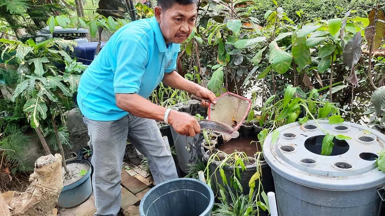 Pembinaan Kelompok Budi Daya Ikan Minahasa Pulutan Desa Pendowoharjo Kapanewon Sewon pulutan pendowoharjo sewon bantul