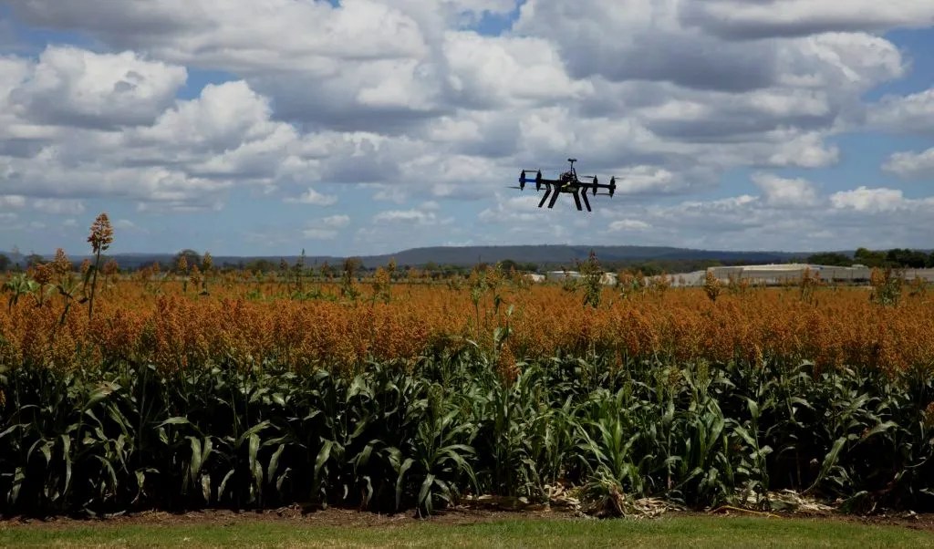 Pertanian Presisi Diklaim Hemat Air dan Panen Lebih Cepat - halojatim.com