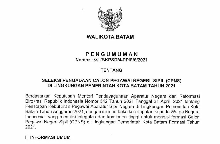 Pemko Batam Buka Lowongan untuk 2.958 Formasi CPNS - starbanjar.com