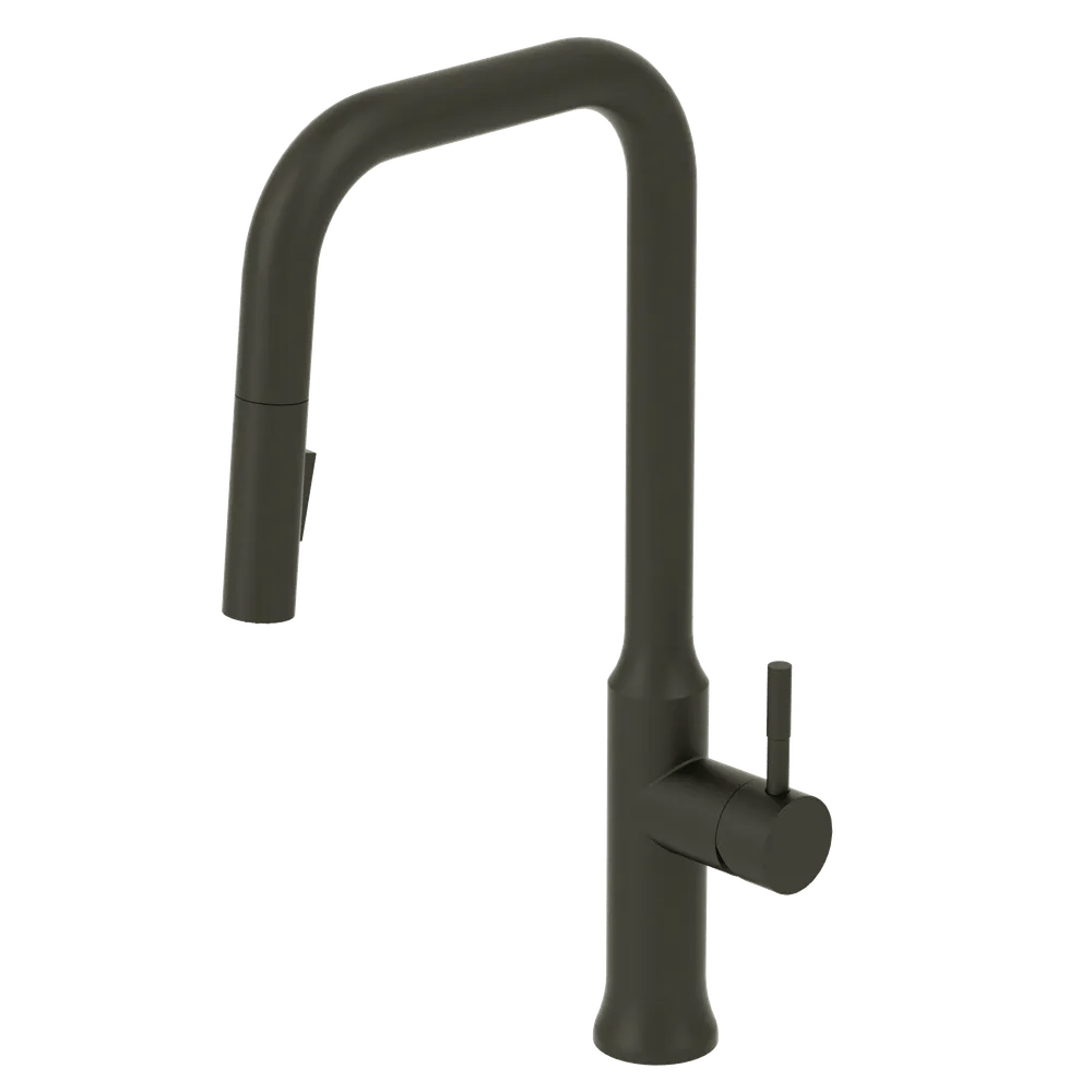 Shop Tenzo, SingleHandle Kitchen Faucet Regia Matte Black at