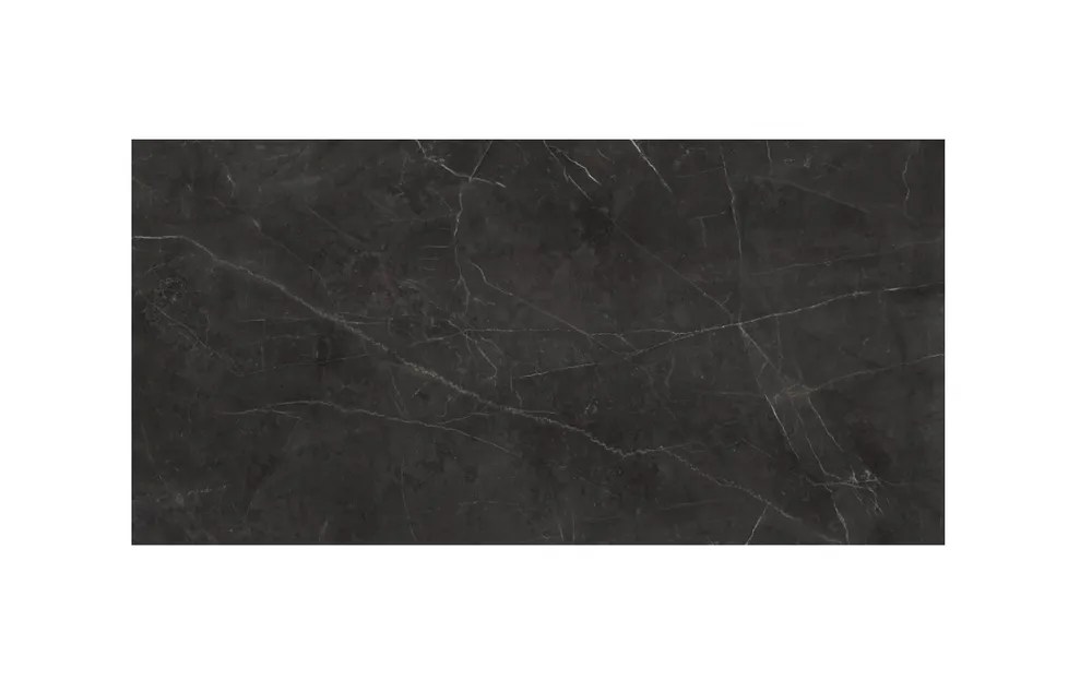 Shop 24x48" La Marca Polished Porcelain Tile Nero Venato (Price Per