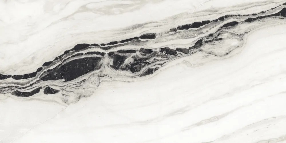 32x64" Bianco Nero Porcelain Tile White Noir (Price Per Square Foot