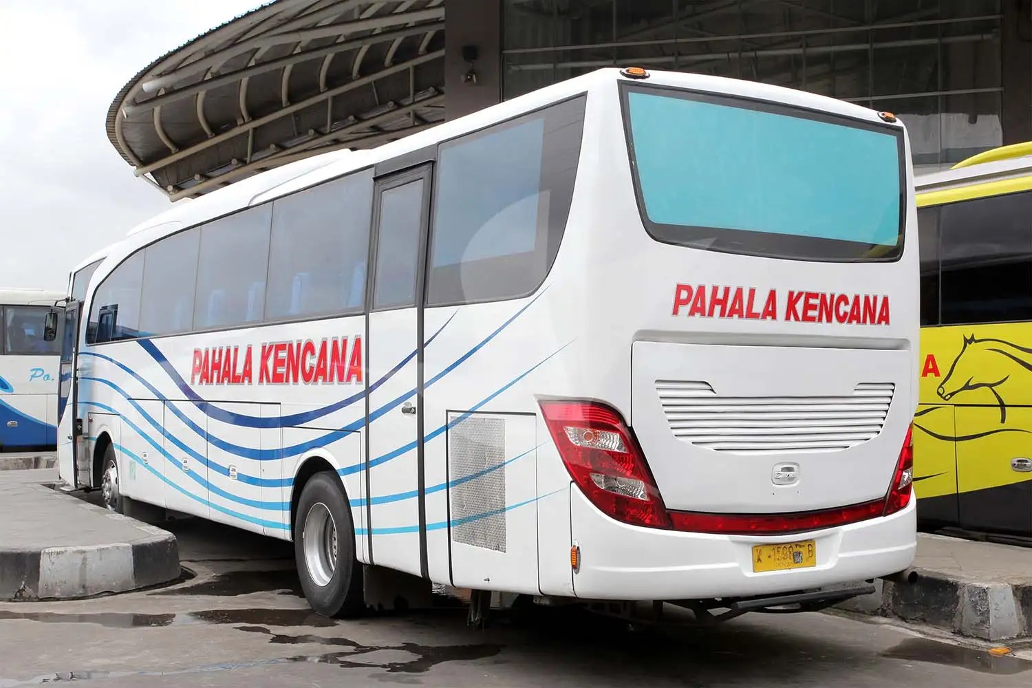 Pahala Kencana Jadwal, Rute, Harga Tiket Bus Pahala Kencana