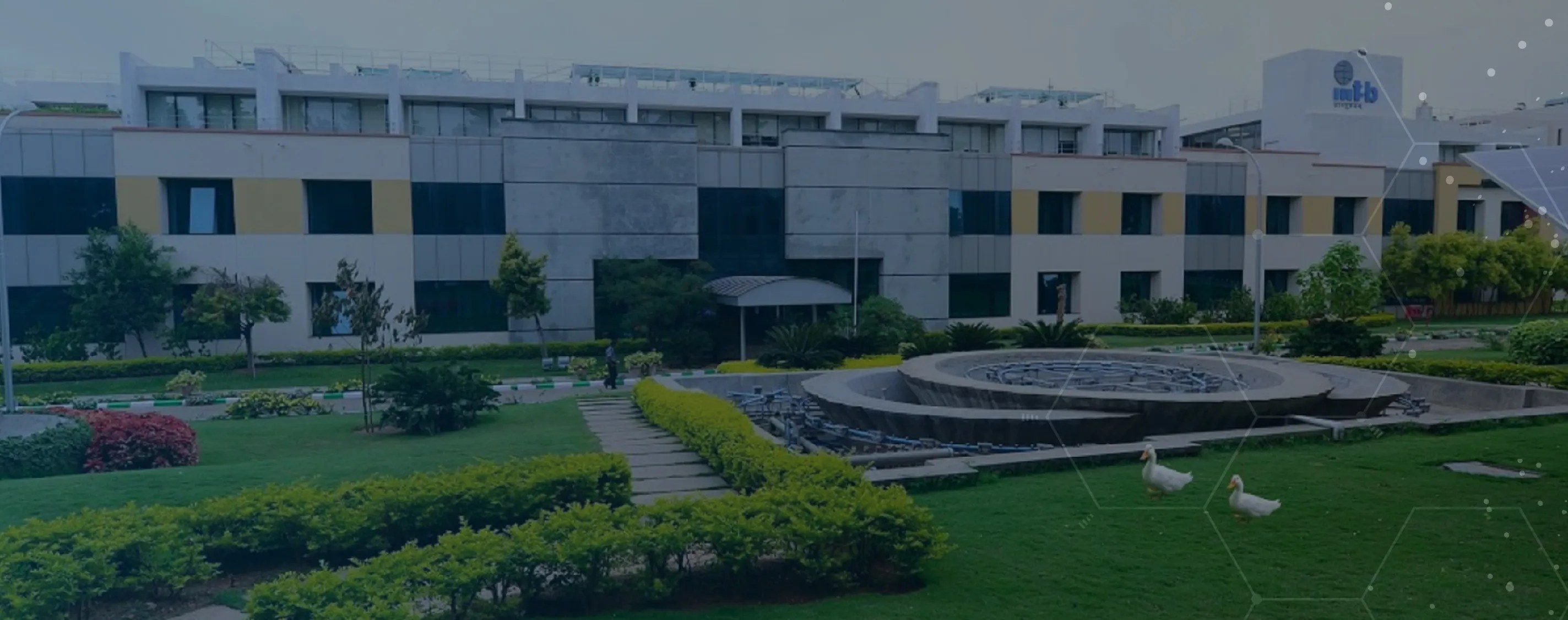 Executive PG Program in Machine Learning and AI IIITB, upGrad Europe