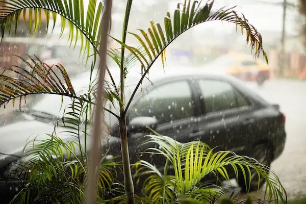 Can You Change A Car Battery In The Rain? - wowOwow
