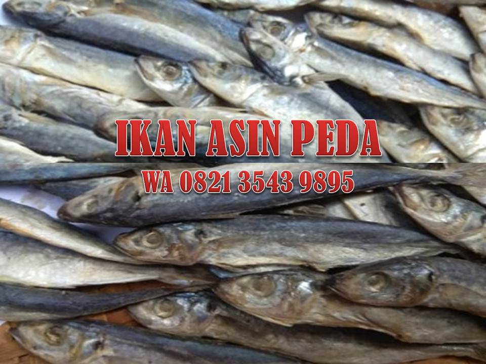 Resep Ikan Asin Peda Ikan Asin Purwokerto