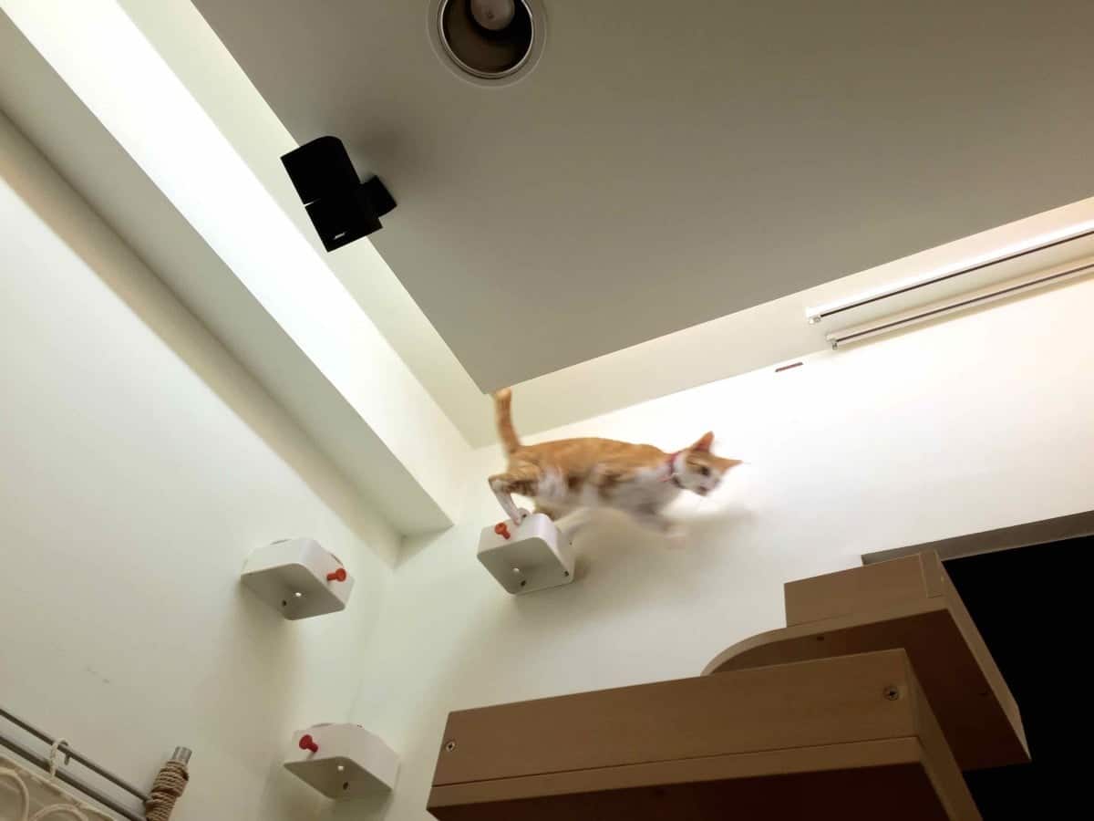 ENUDDEN Cat Steps On Wall - IKEA Hackers