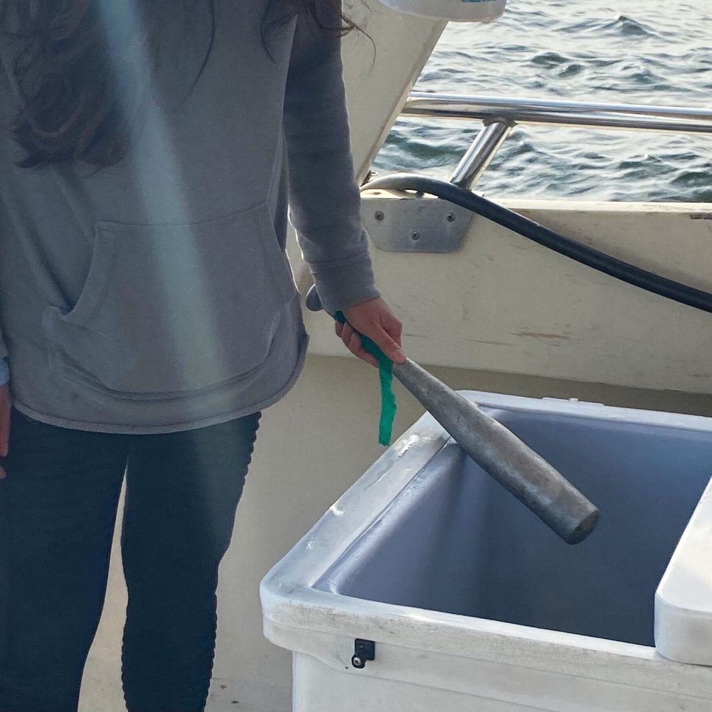 Decapitation vs. Fish Bats vs. Brain Spikes Ike Jime Federation