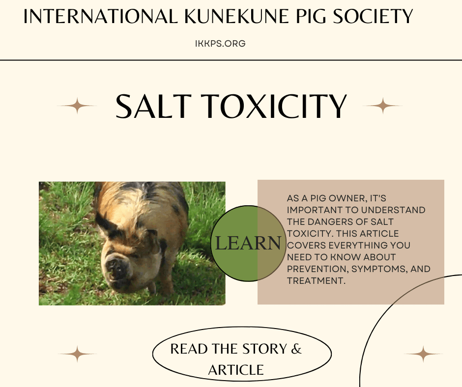 Salt Toxicity in pigs International KuneKune Pig Society