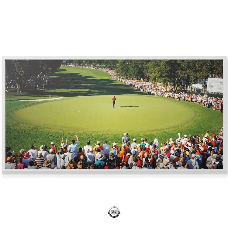 Tiger Woods Canvas Wall Art Main Stage IKONICK