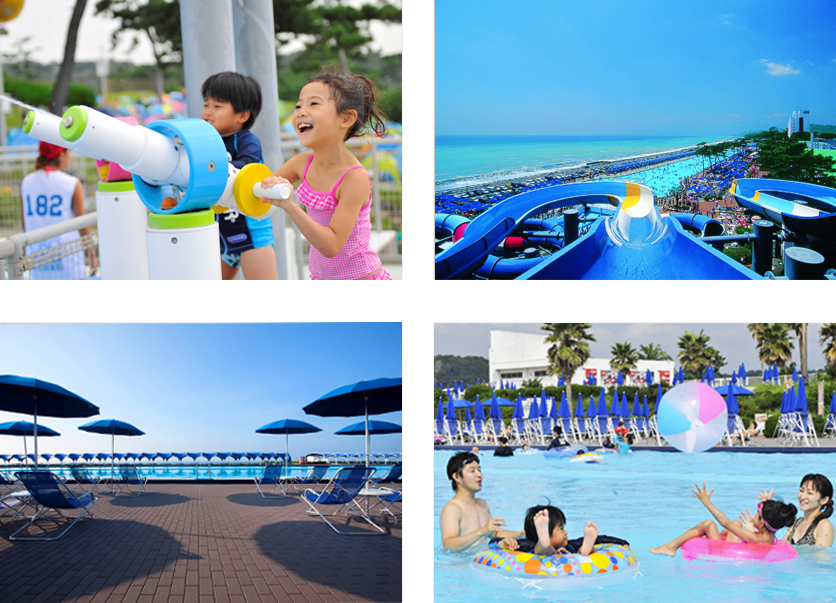 大磯ロングビーチ弁当やテントの持ち込み禁止？駐車場混雑状況は？ イクジラ