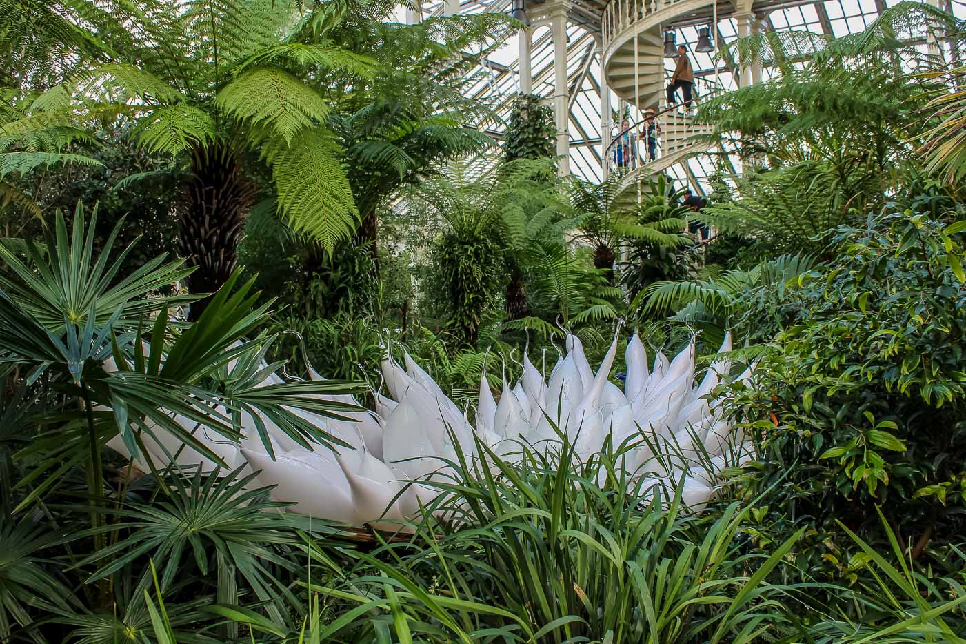 20 pictures that will make you visit Kew Gardens in London i landed here