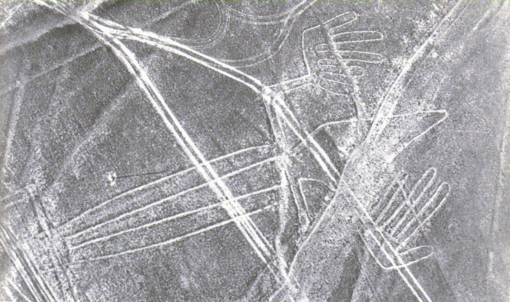 Lizard, Nazca Lines, Peru