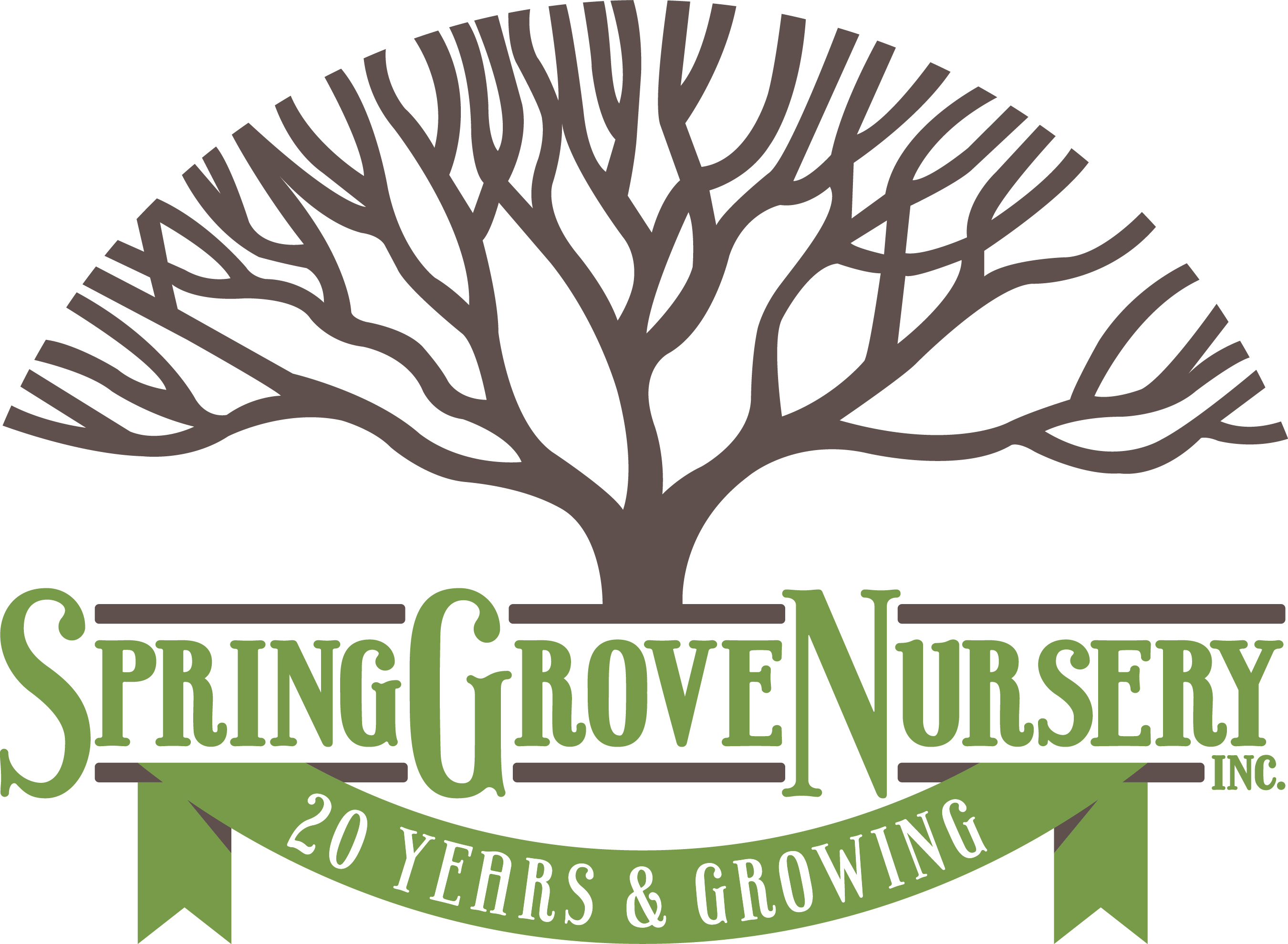 Spring Grove Nursery ILCA