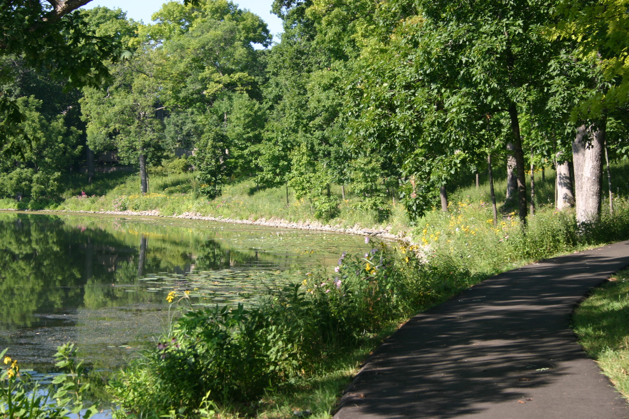 Lake Barrington Shores Natural Area Management 2019 2023