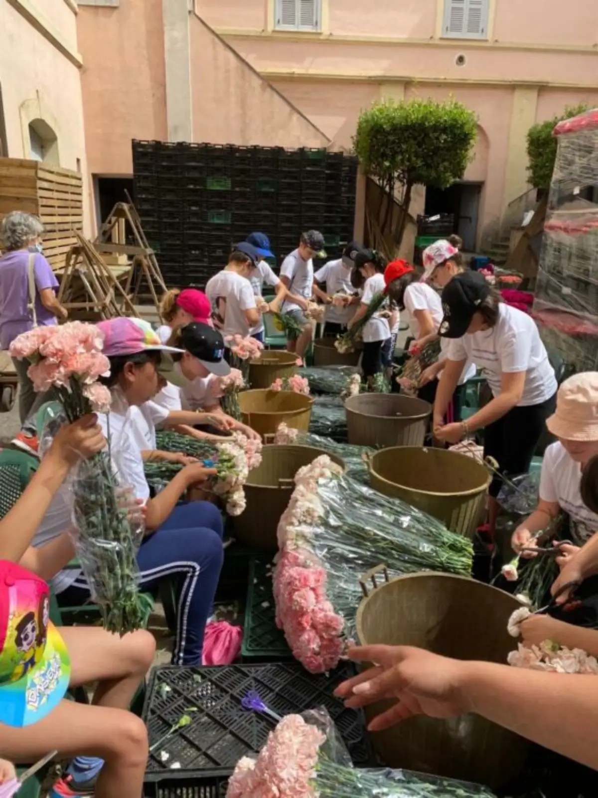 Anche i giovanissimi impegnato nello speluccamento dei fiori per l'Infiorata di Genzano