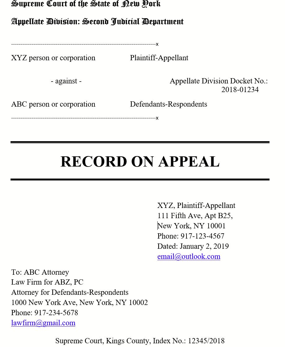 Record on Appeal sample ILDIKO NYARI the person