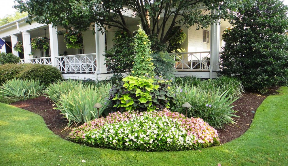Landscaping and Lawn Care Services In Florence SC 843