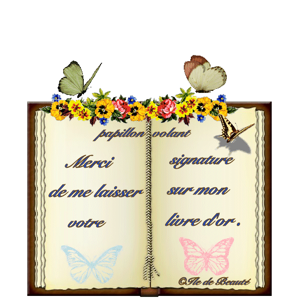 Cadeau pour papillonvolant