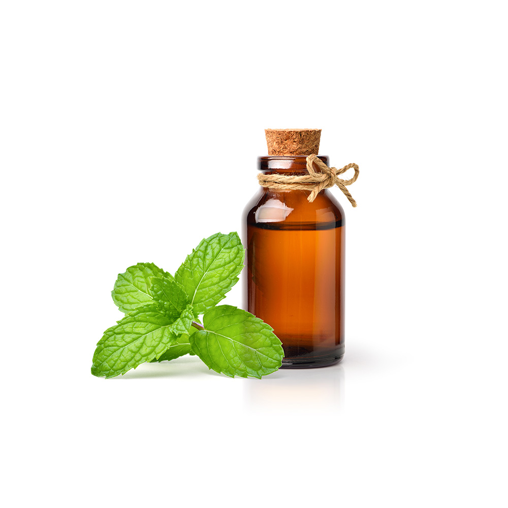 Peppermint Essential Oil Ilesol Pharmaceuticals