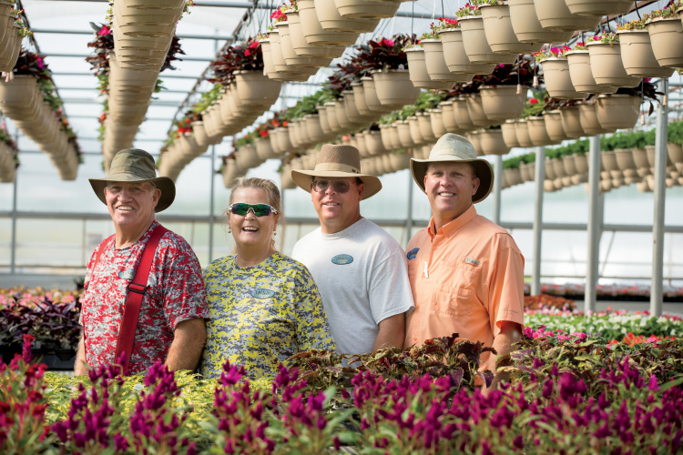 Blooming Spring Flowers In Illinois