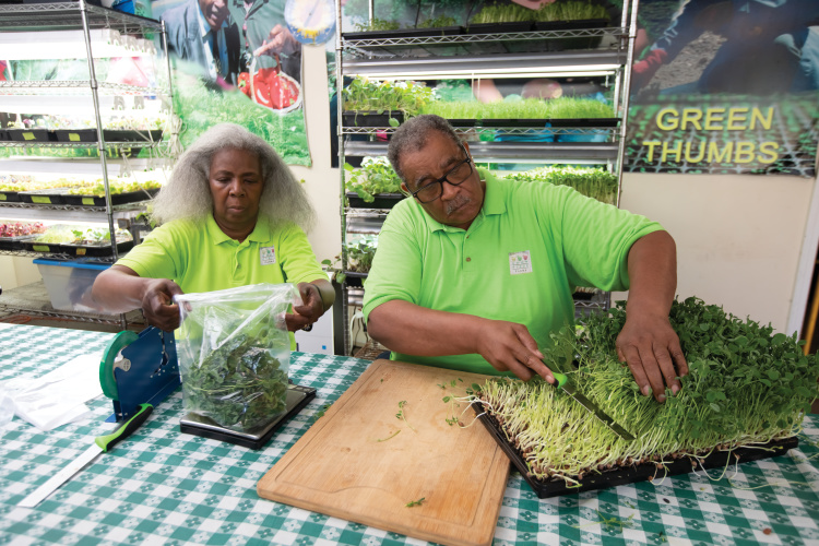 Eden Place Farms Feeds Mind, Body And Spirit On Chicago’s South Side