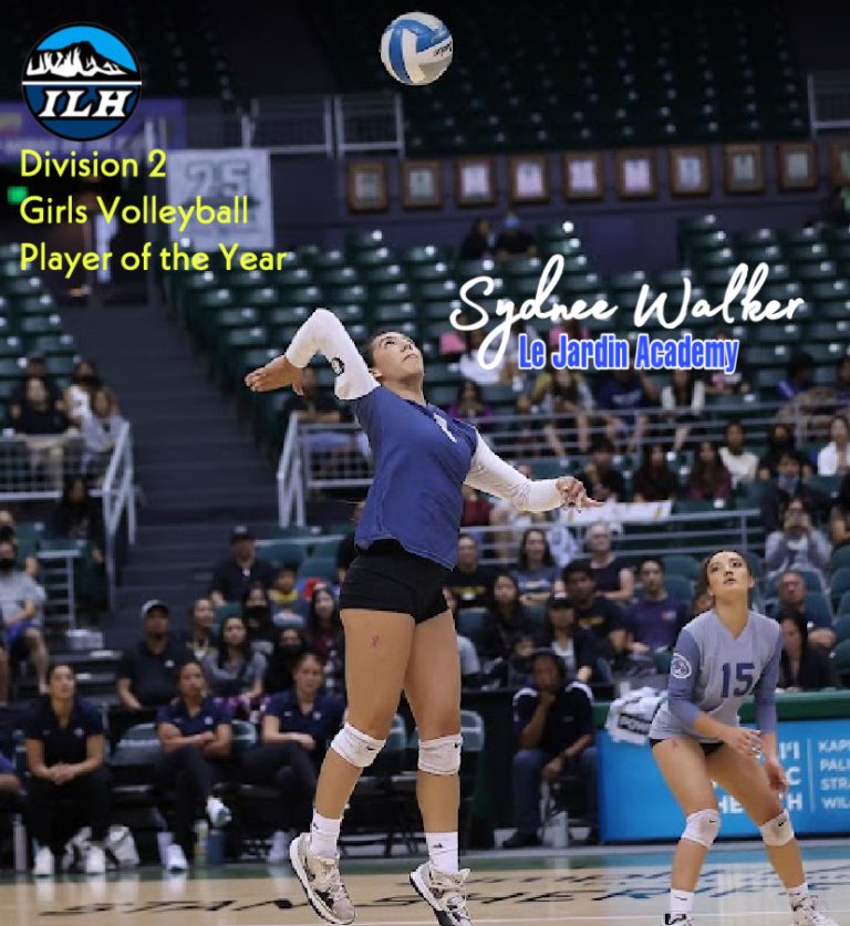 20222023 Fall Season Sports AllStars Girls Division 2 Volleyball