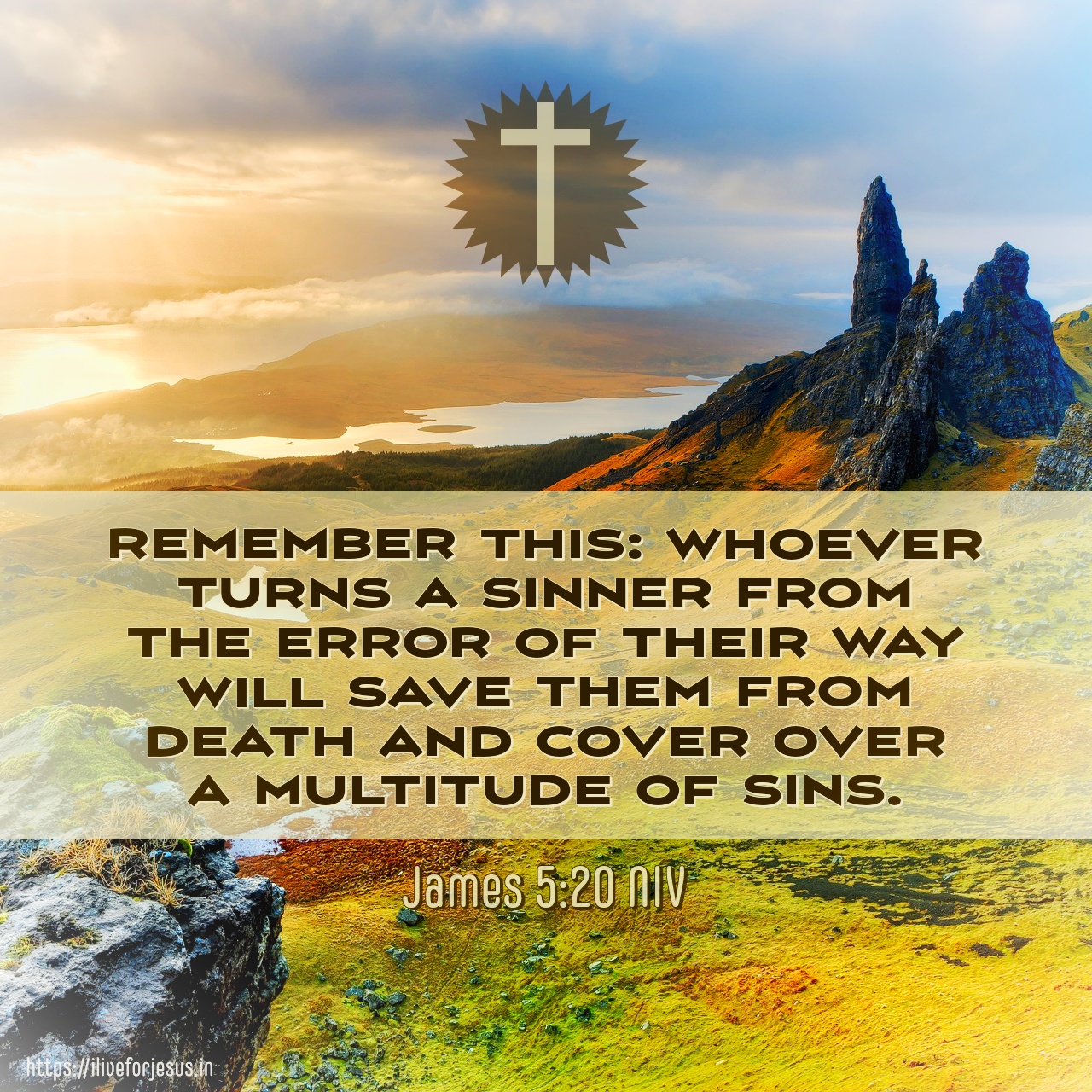 Turn a Sinner I Live For JESUS