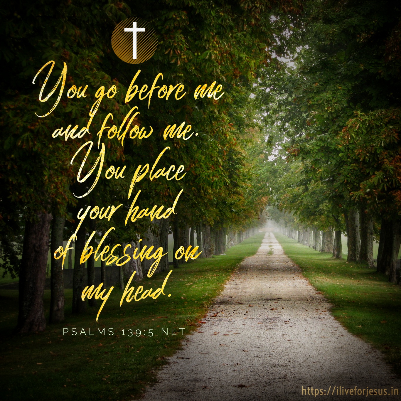 You Go Before Me I Live For JESUS