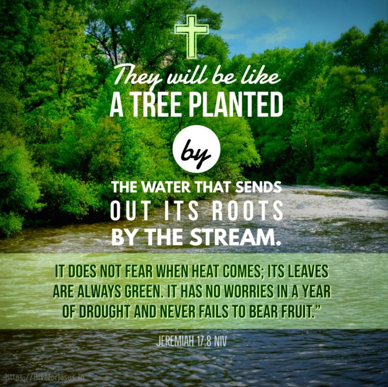 jeremiah 178 I Live For JESUS