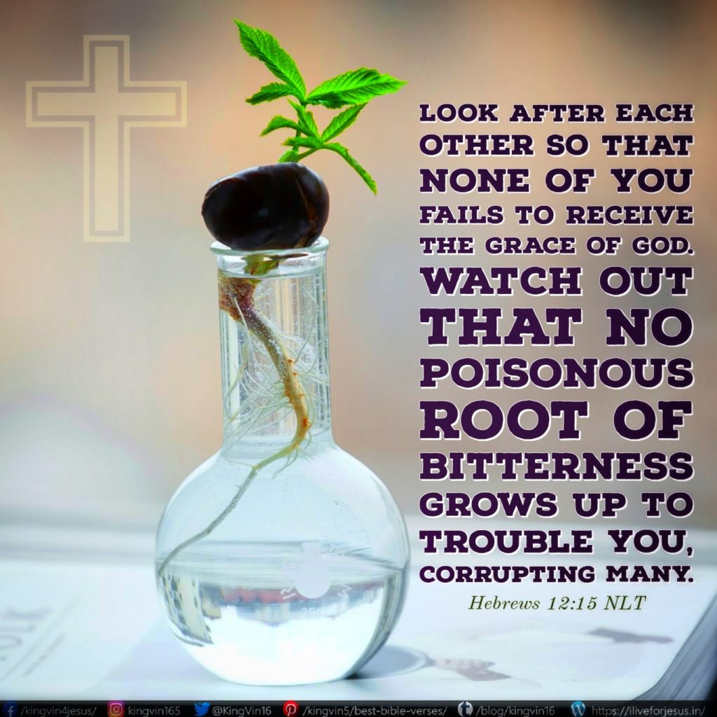 No Poisonous Root I Live For JESUS