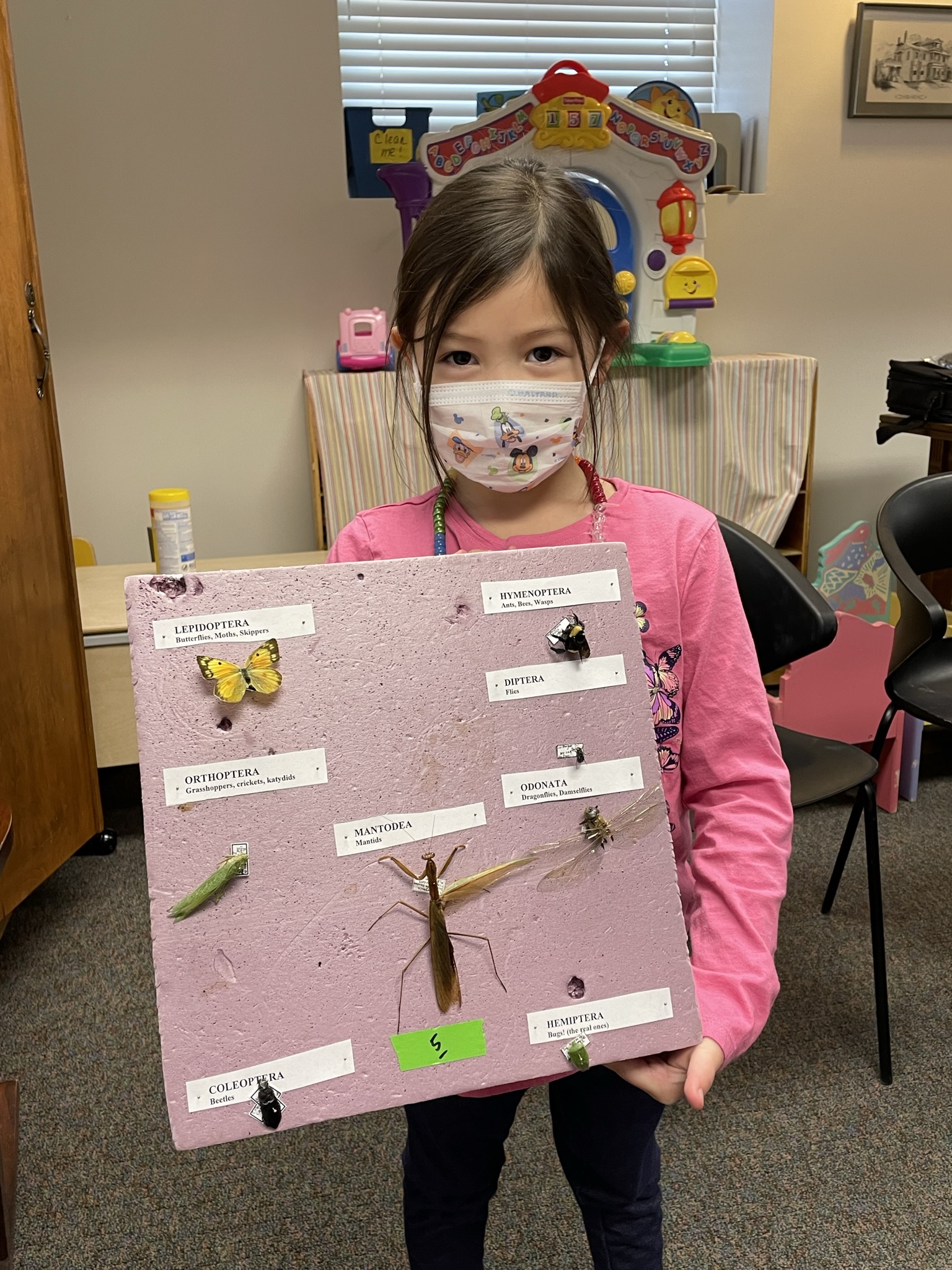 County Audubon Society Illinois Audubon Society