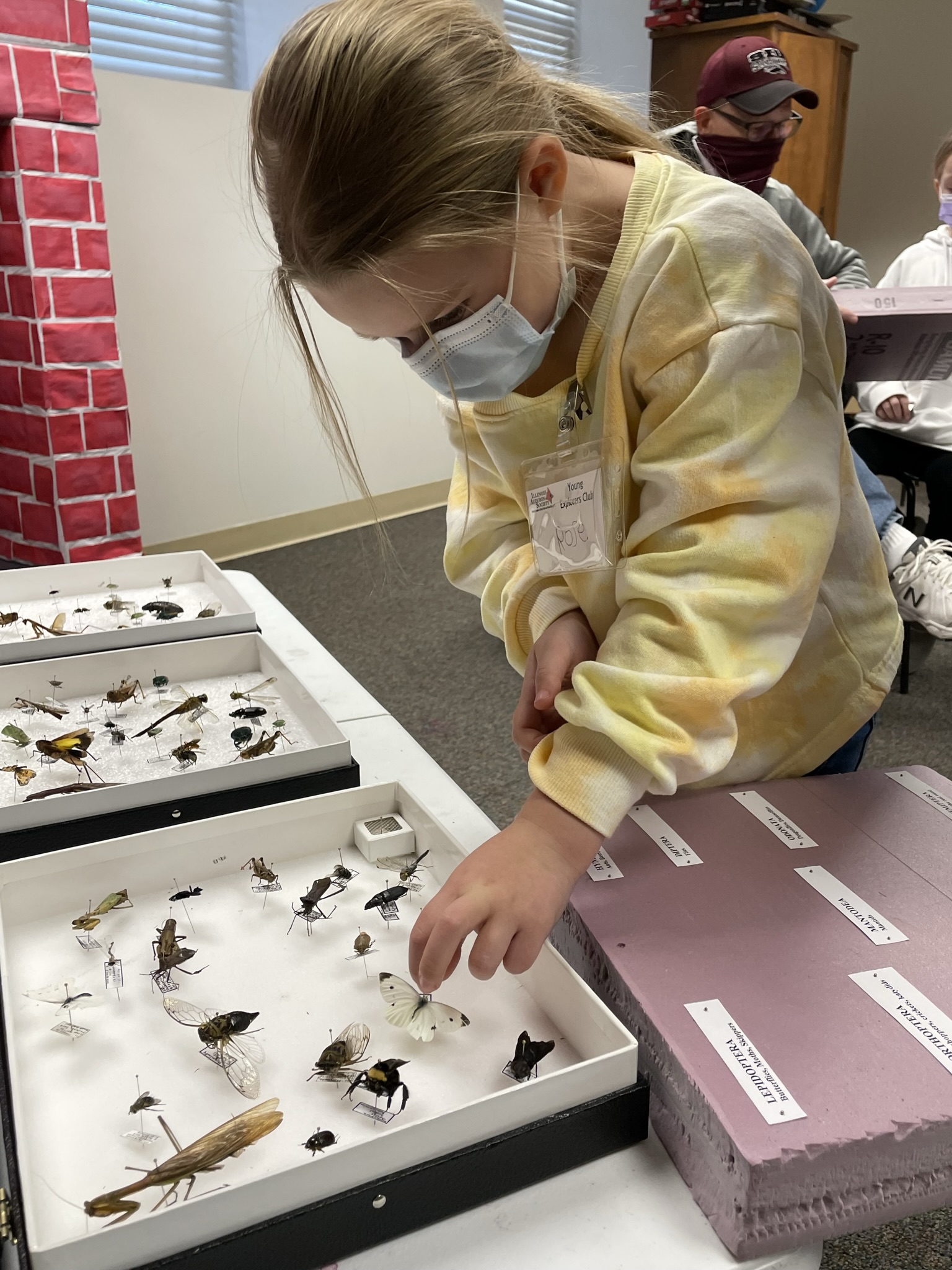 County Audubon Society Illinois Audubon Society