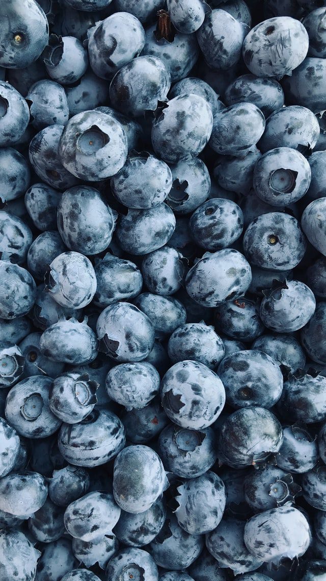 Blueberry Overview, Uses, Side Effects, Precautions