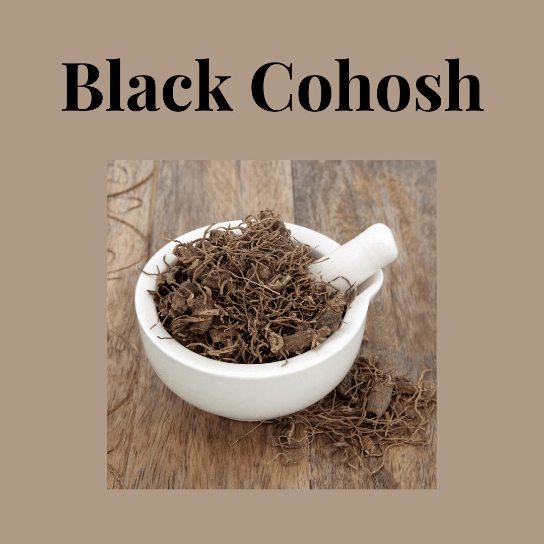 Black Cohosh Overview, Uses, Side Effects, Precautions