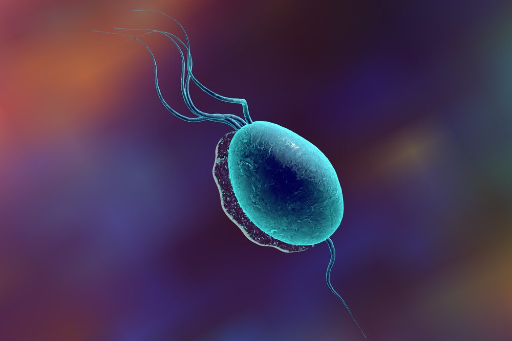 Trichomoniasis Overview, Causes, Symptoms, Treatment