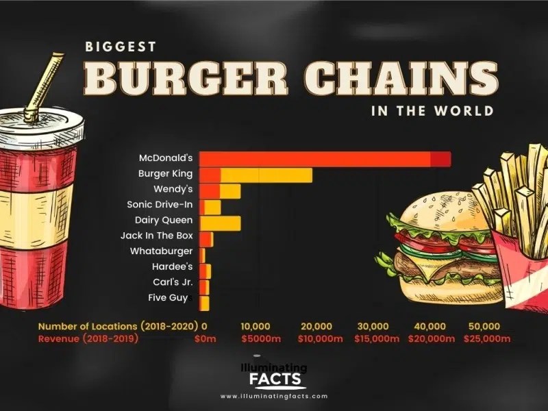 Burgers All You Need To Know Graphs Illuminating Facts
