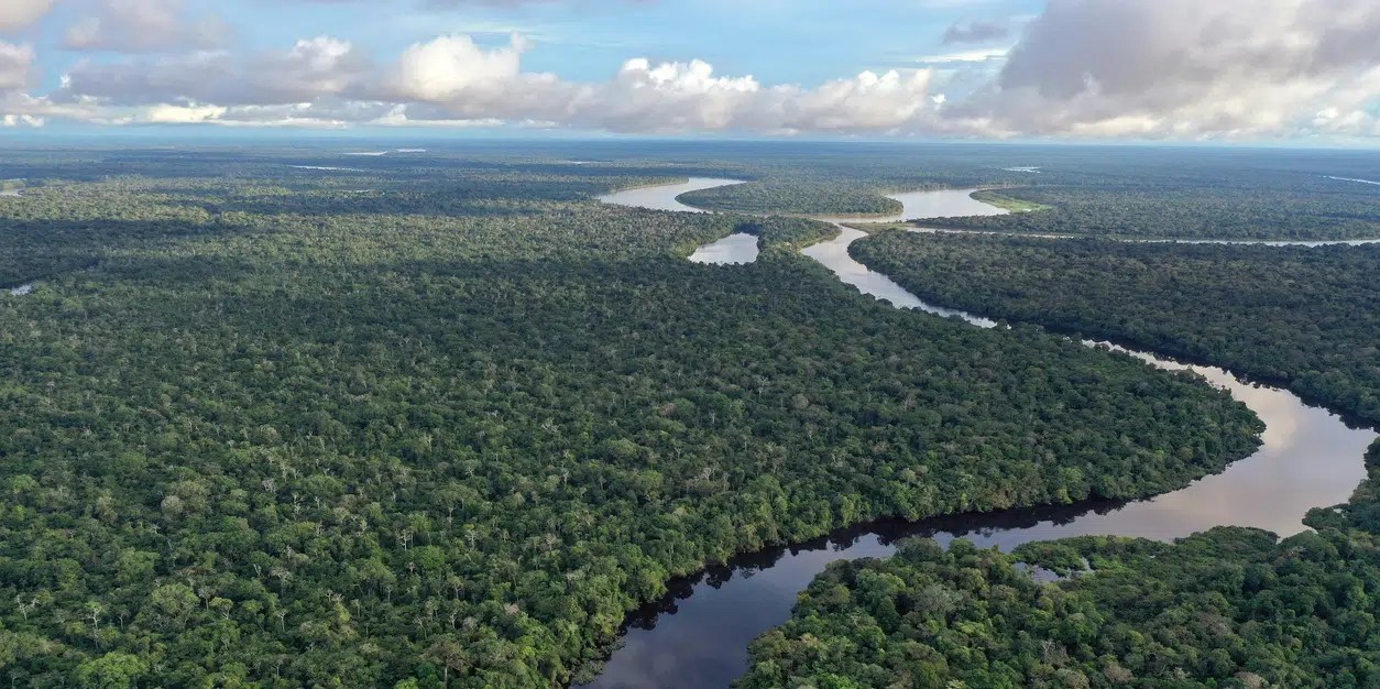 Ranked The 10 Longest Rivers in the World Illuminating Facts