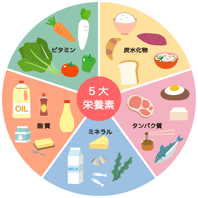 食事をする女性 栄養バランスのイラスト素材 [Fyi04100708] | ストックフォトのAmanaimages Plus ５大栄養素のイラスト（食育・保健・給食） | 園だより、おたよりで使えるかわいいイラストの無料素材集【イラストだより】