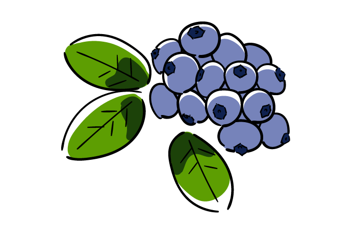 ブルーベリーのキャラクター | かわいいフリー素材集 いらすとや ブルーベリーの無料イラスト素材 | おしゃれでかわいいフリーイラスト素材 イラストナビ