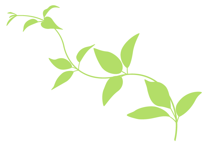 葉っぱ~高品質な無料のフリーイラスト素材集