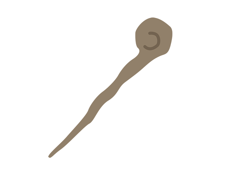 T字杖と四点杖イラスト - No: 2194153／無料イラストなら「イラストAc」 仙人の杖の無料イラスト / イラストセンター