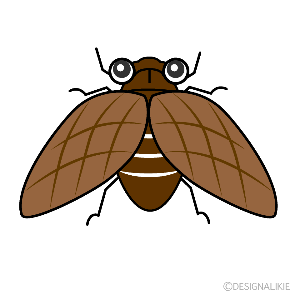 セミ イラスト素材 [ 1354684 ] - フォトライブラリー Photolibrary 飛ぶセミイラストのフリー素材｜イラストイメージ