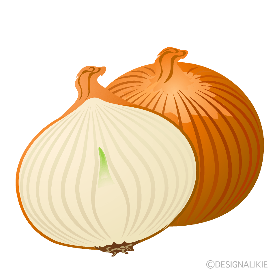 調理用にカットされた玉ねぎのイラスト | イラスト本舗 一玉とカット玉ねぎイラストのフリー素材｜イラストイメージ